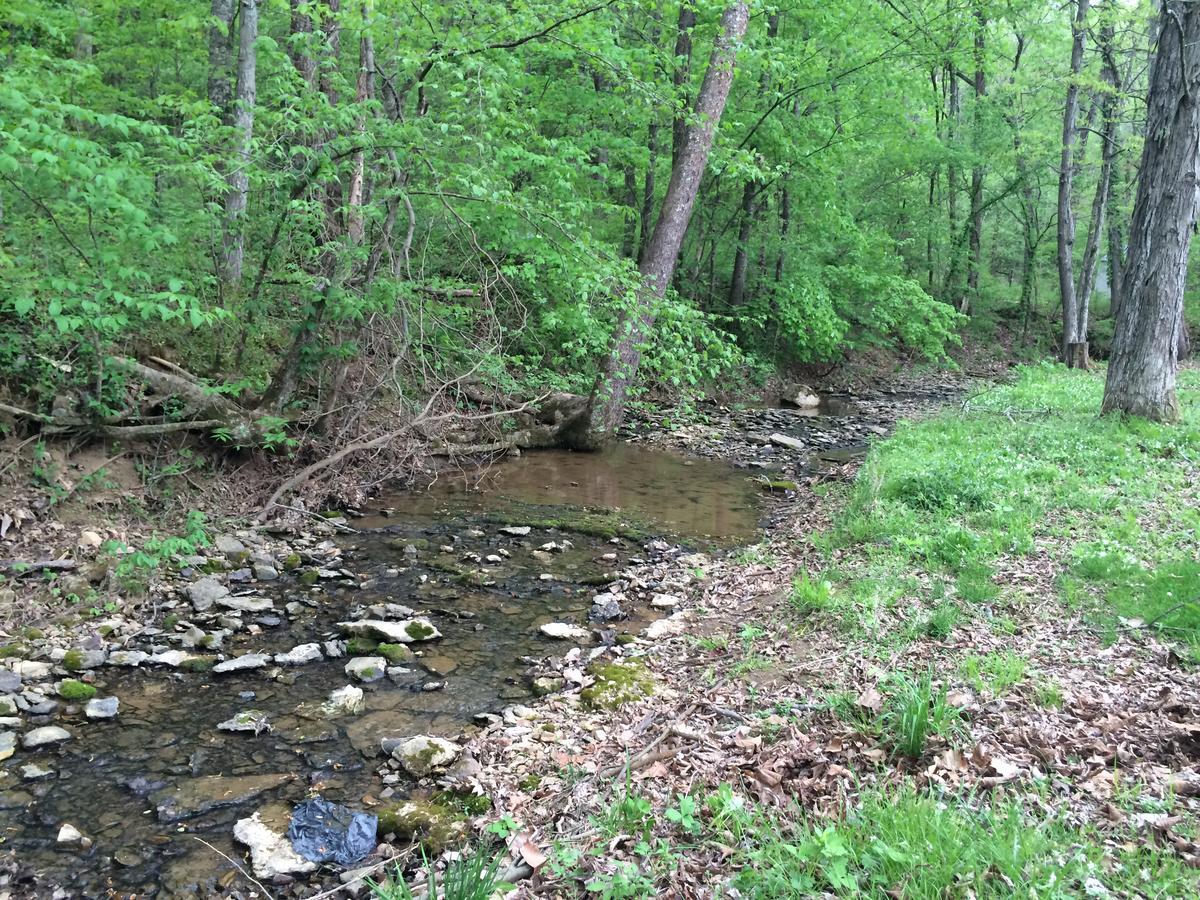 4 Bedroom Country Getaway Nashville Dış mekan fotoğraf