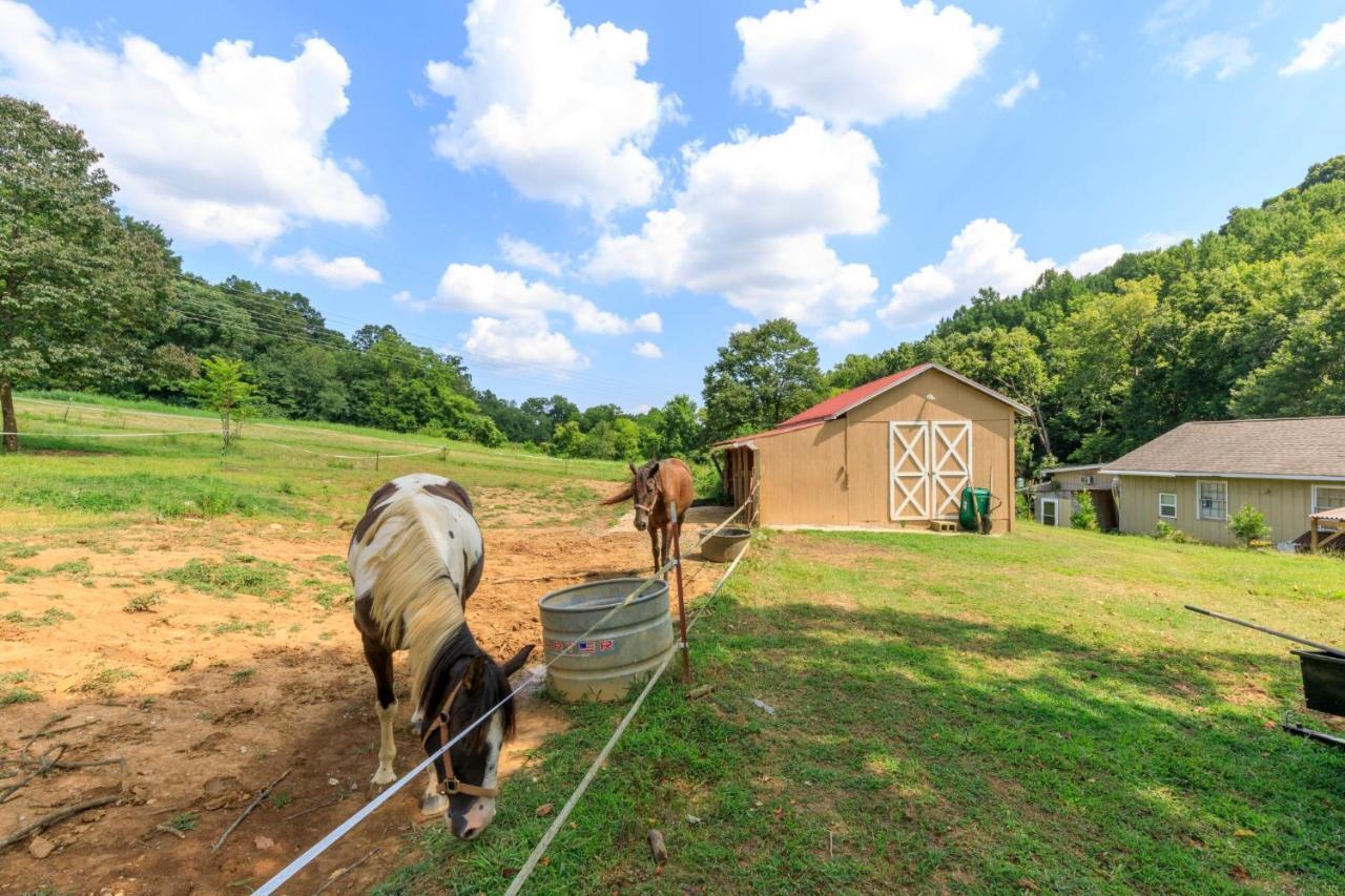 4 Bedroom Country Getaway Nashville Dış mekan fotoğraf